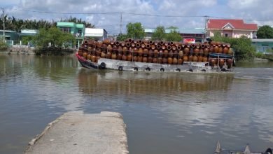 SỬA CHỮA MÁY PHOTOCOPY TẬN NƠI